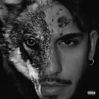 Wolves