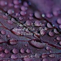 Timeless Nature Sounds Mix - Rain & Water Tracks