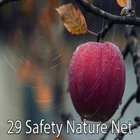 29 Безопасность Nature Net