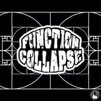 FUNCTION COLLAPSE