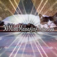 30 Mind Massaging Rain Spa