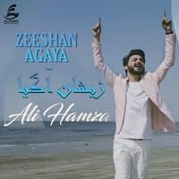 Zeeshan Agaya - Single