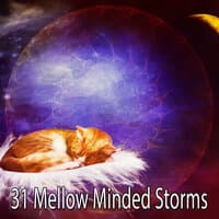 31 Mellow Minded Storms