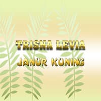 Janur Kuning