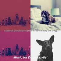 Acoustic Guitars Solo (Music for Walking the Dog)