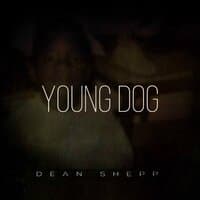 Young Dog