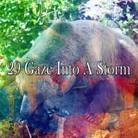 29 Gaze into a Storm