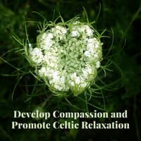 Develop Compassion and Promote Celtic Relaxation