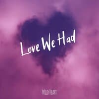 Love We Had