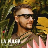 La Pulga