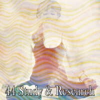 44 Study & Research