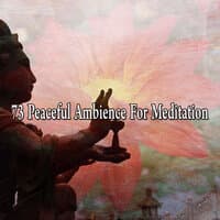 73 Peaceful Ambience for Meditation