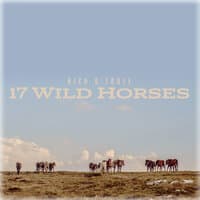 17 Wild Horses