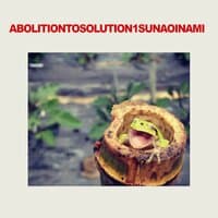 ABOLITION TO SOLUTION 1