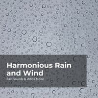 Harmonic Rain and Wind