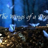 The Wings of a Dream