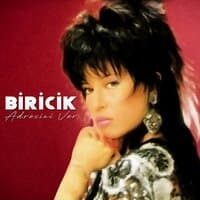 Biricik