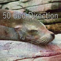 50 Bed Direction