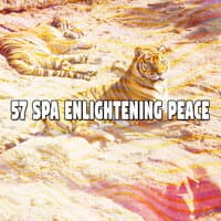 57 Spa Enlightening Peace