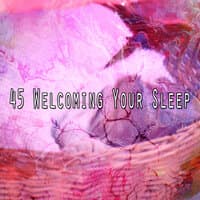 45 Welcoming Your Sle - EP