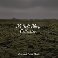 35 Soft Sleep Collection