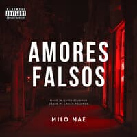 Amores falsos