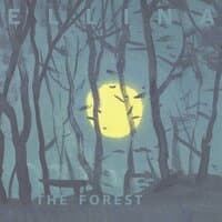 The Forest