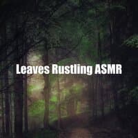 Leaves Rustling ASMR