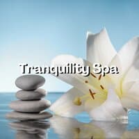 Tranquility Spa Massage – Harmony of Senses