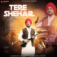 Tere Shehar