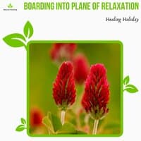 Boarding Into Plane Of Relaxation - Healing Holiday