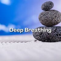 Deep Breathing Exercises - 30 Calm Music Pranayama