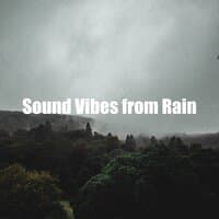 Sound Vibes from Rain