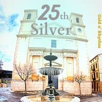 25th Silver