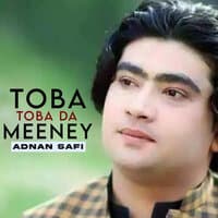 Toba Toba Da Meeney