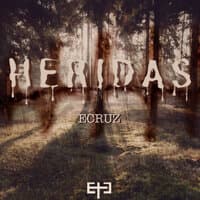 Heridas