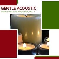 Gentle Acoustic - Music For Spa Rejuvenation, Vol. 7