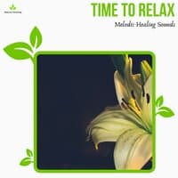 Time To Relax - Melodic Healing Sounds