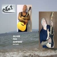 Silver Fox Surfers Guitars