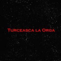 Turceasca La Orga