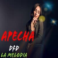 Apecha