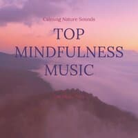 Top Mindfulness Music, Full Immersion, Calming Nature Sounds