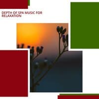 Depth Of Spa Music For Relaxation