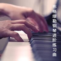 布格缪勒钢琴进阶练习曲