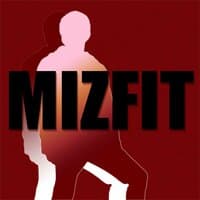 MIZFIT