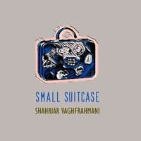 Small Suitcase