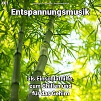 #01 Entspannungsmusik als Einschlafhilfe, zum Chillen und für das Gehirn