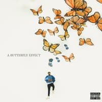 A Butterfly Effect