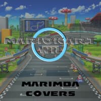 Mario Kart Wii (Marimba Covers)