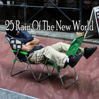 25 Rain of the New World